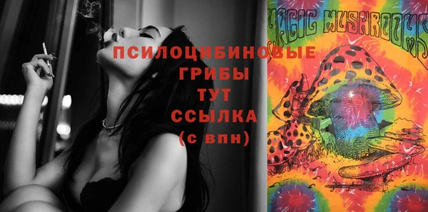мдпв Покровск